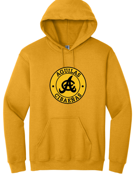 AC Hoodie